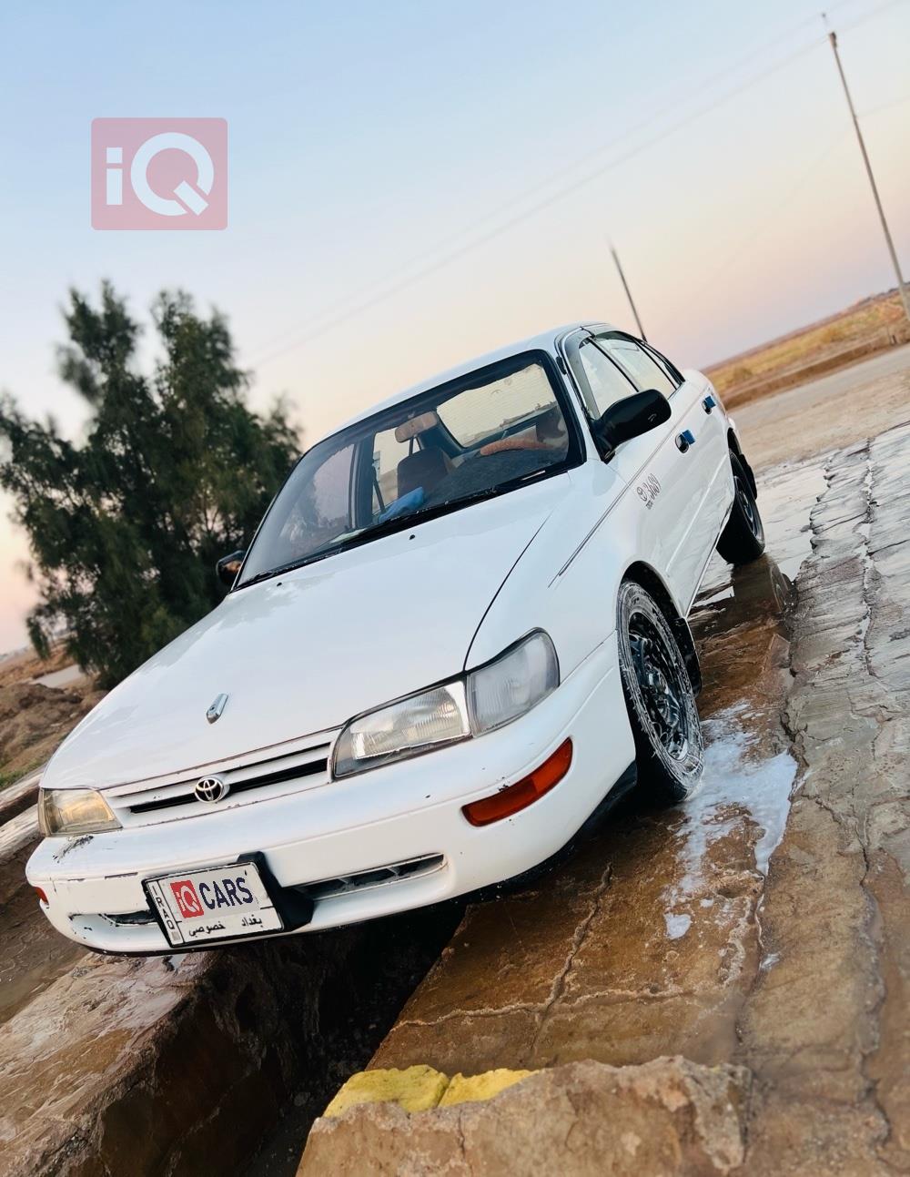 تويوتا كورولا